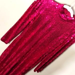 2. Nite Line Vintage Raspberry Sequined Dress